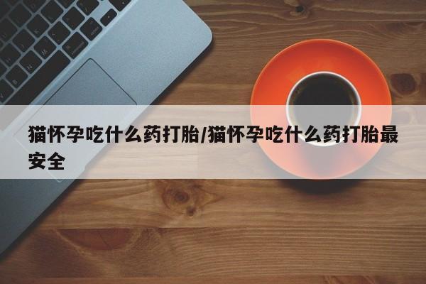 打胎药正品包邮联系方式猫怀孕吃什么药打胎/猫怀孕吃什么药打胎最安全