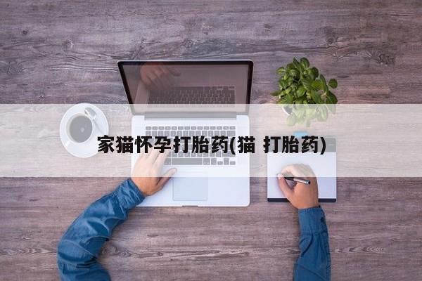 打胎药正品包邮联系方式家猫怀孕打胎药(猫 打胎药)